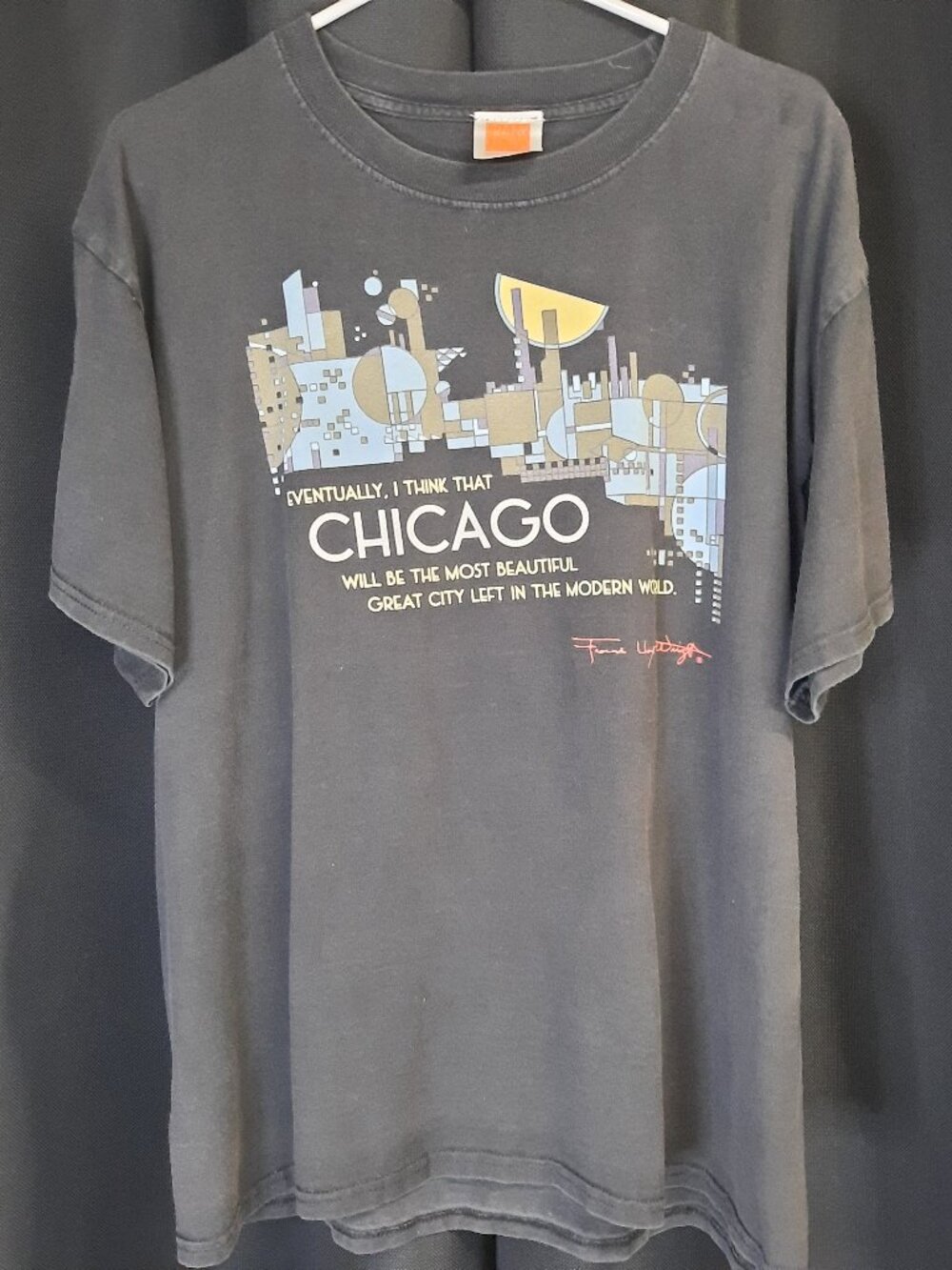 Mens Large Frank Lloyd Wright Chicago Graphic T-Shirt Black Hanes BeefyT Art Tee